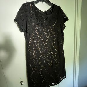 Lace little black dress - The Loft